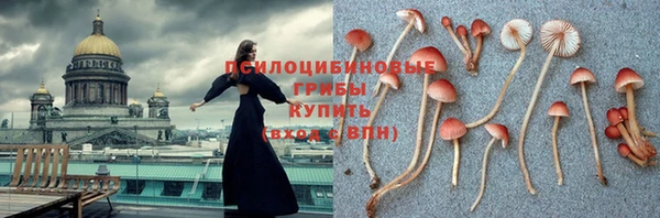 трава Армянск