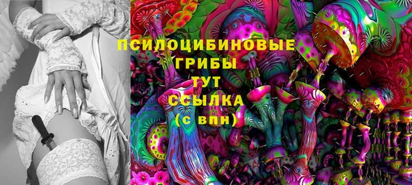 тгк Аркадак