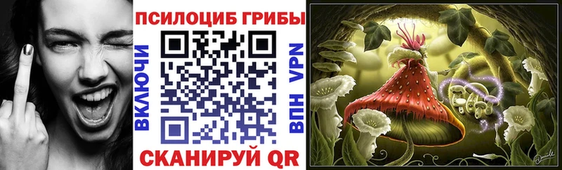 магазин продажи   omg ONION  Галлюциногенные грибы Psilocybe  Сусуман 